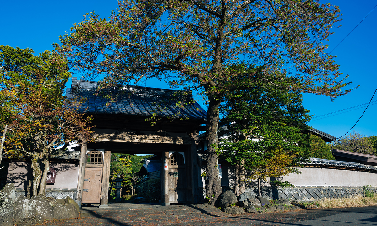 キュレーションホテル 富士河口湖 岳麓翠苑