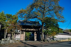 岳麓翠苑